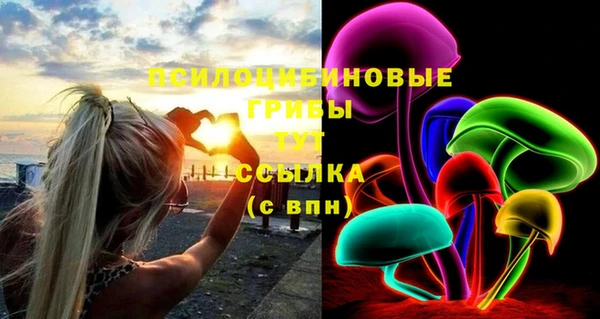 а пвп мука Алзамай